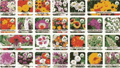 Varieties of Flower Seeds (Pack of 100) and Plant Growth Supplement Free